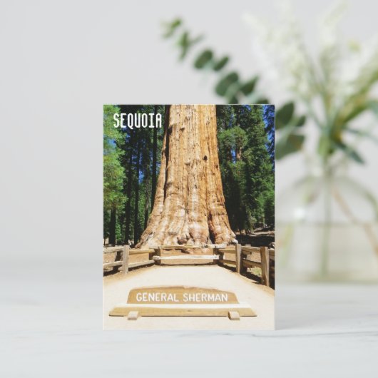 Geweldig Sequoia Briefkaart! Briefkaart (Staand voorkant)