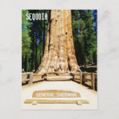 Geweldig Sequoia Briefkaart! Briefkaart (Voorkant)