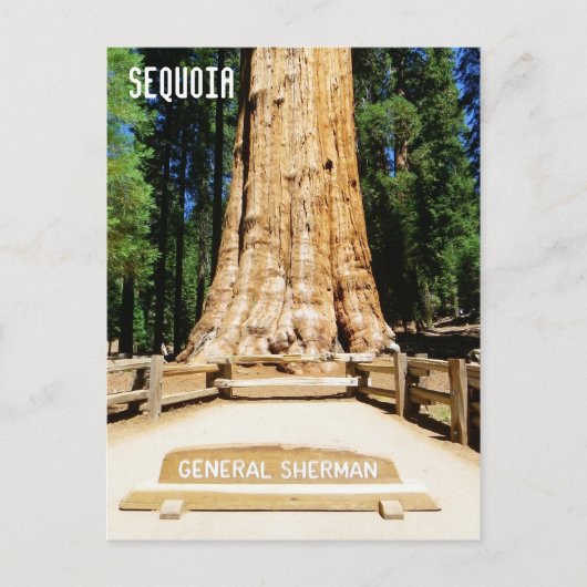 Geweldig Sequoia Briefkaart! Briefkaart (Voorkant)