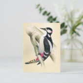 Geweldig Spotted Woodpecker Briefkaart (Staand voorkant)