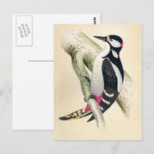 Geweldig Spotted Woodpecker Briefkaart (Voorkant / Achterkant)