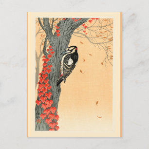 Geweldig Spotted Woodpecker Briefkaart