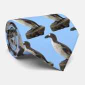 Geweldig Stropdas Auk (Opgerold)