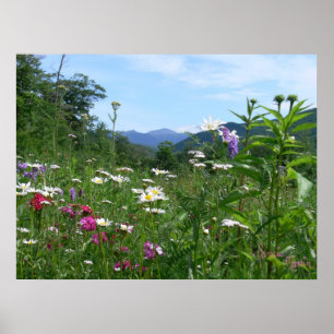 Geweldig uitzicht voor de bloemen poster