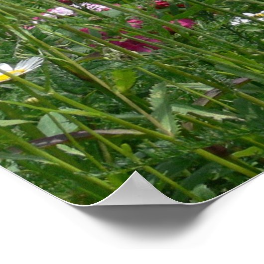 Geweldig uitzicht voor de bloemen poster (Hoek)