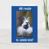 GEWELDIG VAN "COMEDIC BIRD"-KAART KAART (Voorkant)