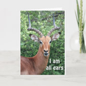 GEWELDIG VAN "COMEDIC DEER" KAART (Voorkant)