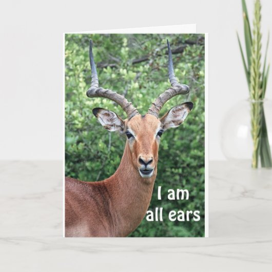 GEWELDIG VAN "COMEDIC DEER" KAART (Voorkant)