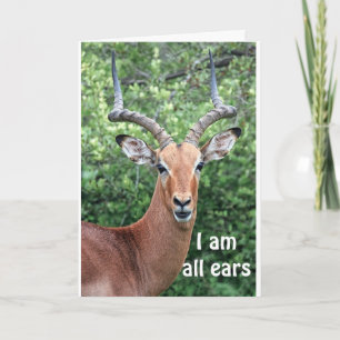 GEWELDIG VAN "COMEDIC DEER" KAART