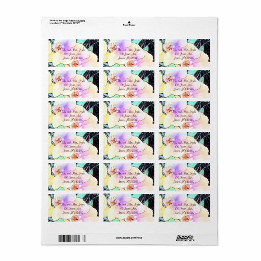Geweldig Violet en witte orchidee Etiket (Full Sheet)