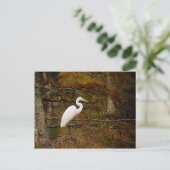 Geweldig wit Briefkaart in valkleuren (Staand voorkant)