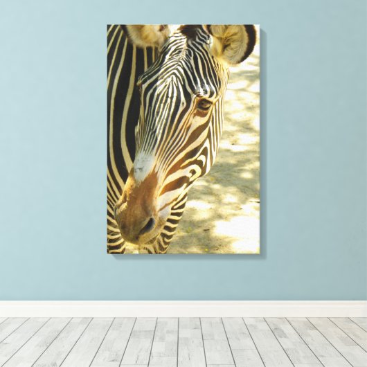 Geweldig Zebra omhulde Canvas! Canvas Afdruk (Insitu (Houten vloer))