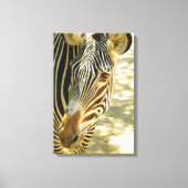 Geweldig Zebra omhulde Canvas! Canvas Afdruk (Voorkant)