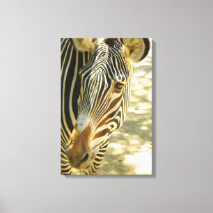 Geweldig Zebra omhulde Canvas! Canvas Afdruk