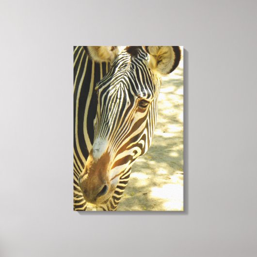 Geweldig Zebra omhulde Canvas! Canvas Afdruk (Voorkant)