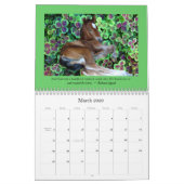 GEWELDIGE ANDALUSIANEN 2012 12-maands wandkalender Kalender (Mar 2026)