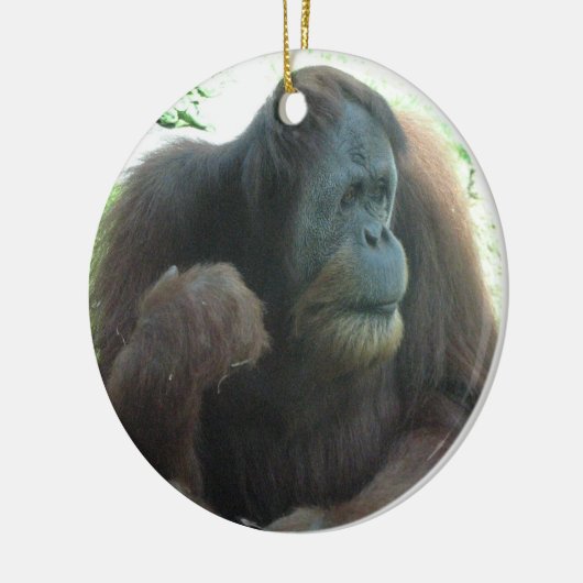 Geweldige Ape Ornament (Links)
