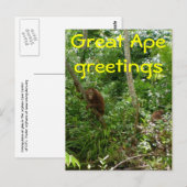Geweldige Ape-vrienden Briefkaart (Voorkant / Achterkant)
