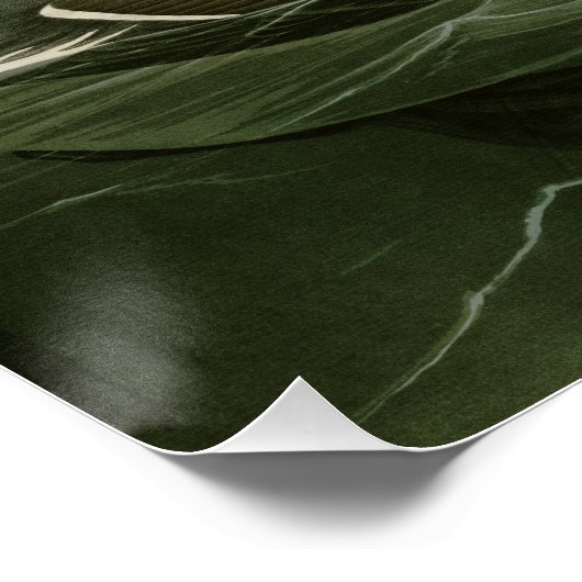 Geweldige auk perfect poster (Hoek)