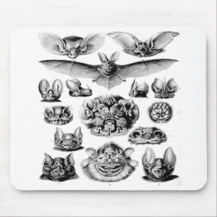 Geweldige  BBT-Muismat Muismat