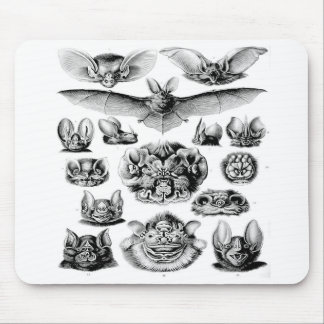 Geweldige BBT-Muismat Muismat