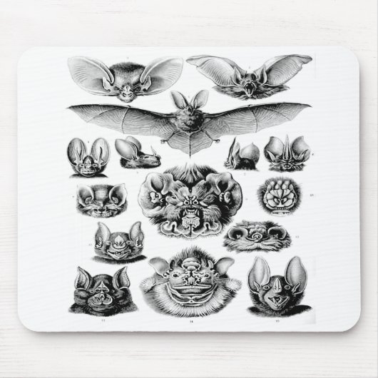 Geweldige  BBT-Muismat Muismat (Voorkant)