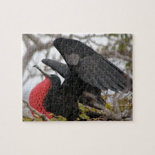 Geweldige bevruchte vogel legpuzzel