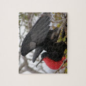 Geweldige bevruchte vogel legpuzzel (Verticaal)