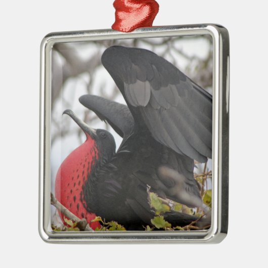 Geweldige bevruchte vogel metalen ornament (Links)