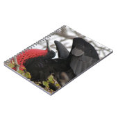 Geweldige bevruchte vogel notitieboek (Linkerzijde)