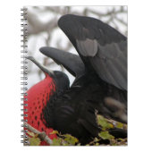 Geweldige bevruchte vogel notitieboek (Voorkant)