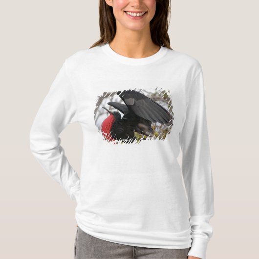 Geweldige bevruchte vogel t-shirt (Voorkant)