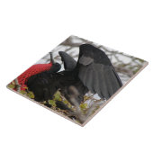 Geweldige bevruchte vogel tegeltje (Zijkant)