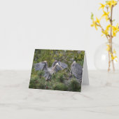 Geweldige blauw herons en Baby Kaart (Gele Bloem)