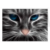 Geweldige Blauw Oog Kattengezicht (Voorkant Horizontaal)