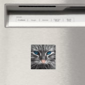 Geweldige Blauw Oog Kattengezicht Magneet (Insitu (Vaatwasser))