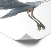 Geweldige blauwe haron met fijne tekenafdrukken poster (Hoek)