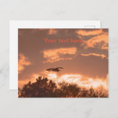 Geweldige blauwe haronsilhouette tijdens de vlucht briefkaart (Voorkant / Achterkant)