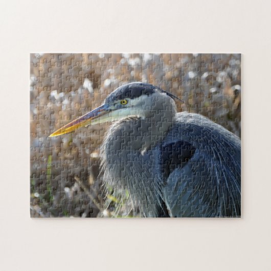 Geweldige Blauwe Heron dicht bij je. Puzzel (Horizontaal)