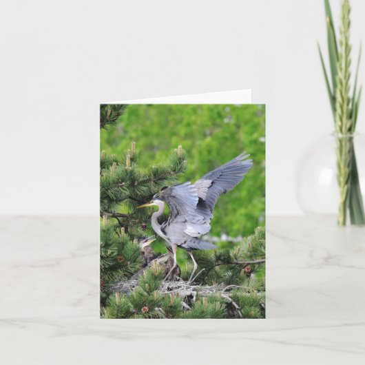 Geweldige Blauwe Heron en baby's! Kaart (Voorkant)