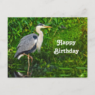 Geweldige Blauwe Reiger Vogel Natuurfoto Verjaarda Briefkaart