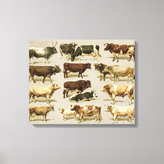 Geweldige boerderij gekleurde vee grafiek! canvas afdruk (Voorkant)