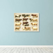 Geweldige boerderij gekleurde vee grafiek! canvas afdruk (Insitu (Houten vloer))