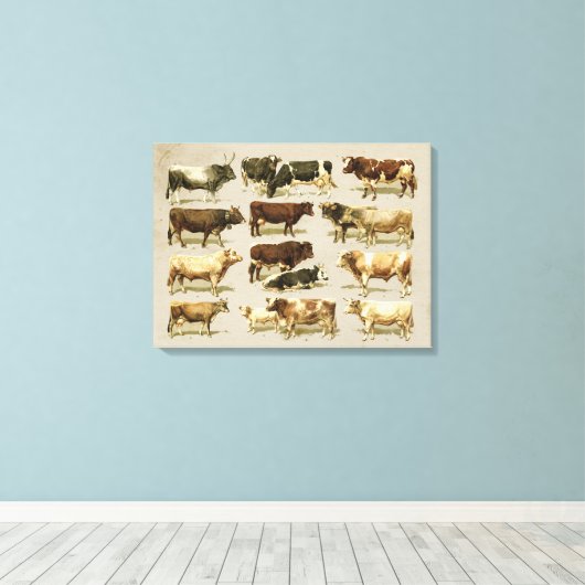 Geweldige boerderij gekleurde vee grafiek! canvas afdruk (Insitu (Houten vloer))