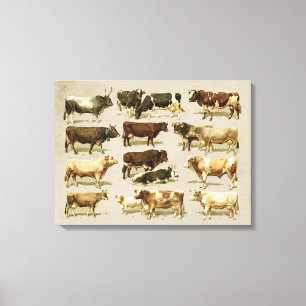 Geweldige boerderijkleurige runderkaart! canvas afdruk