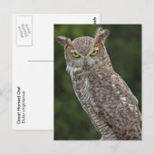 Geweldige briefkaart voor oraal gebruik (Voorkant / Achterkant)