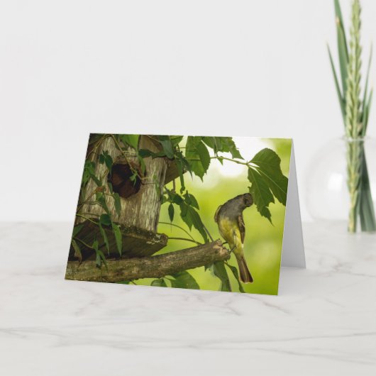 Geweldige brochure kaart (Voorkant)