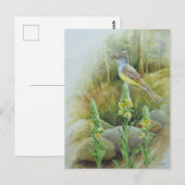 Geweldige brochure Waterverf van vliegende vlieger Briefkaart (Voorkant / Achterkant)