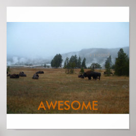 Geweldige buffelPoster Poster