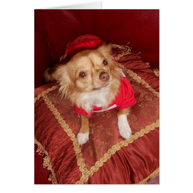 geweldige Coco (Voorkant)